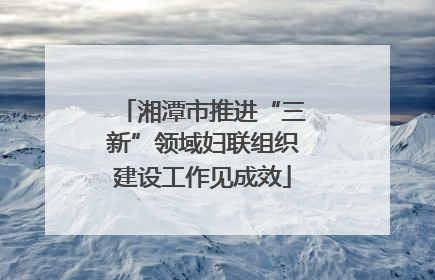 湘潭市推进“三新”领域妇联组织建设工作见成效