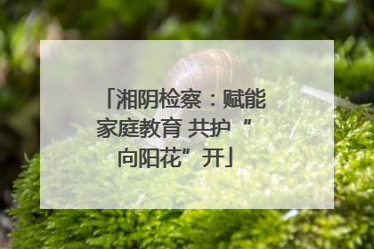 湘阴检察：赋能家庭教育 共护“向阳花”开