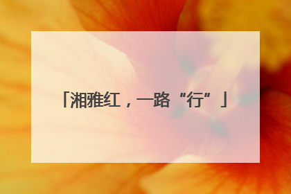 湘雅红，一路“行”