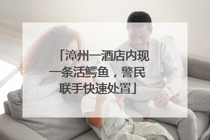 漳州一酒店内现一条活鳄鱼，警民联手快速处置