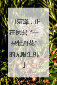菏泽：正在挖掘“一朵牡丹花”的无限生机