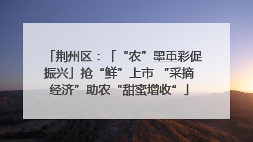 荆州区：「“农”墨重彩促振兴」抢“鲜”上市 “采摘经济”助农“甜蜜增收”