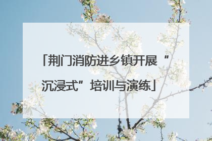 荆门消防进乡镇开展“沉浸式”培训与演练