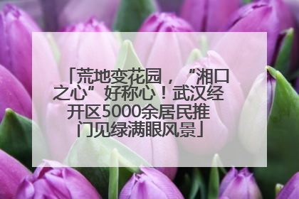 荒地变花园，“湘口之心”好称心！武汉经开区5000余居民推门见绿满眼风景