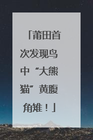 莆田首次发现鸟中“大熊猫”黄腹角雉！