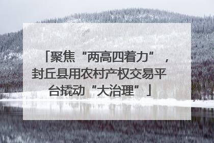 聚焦“两高四着力”，封丘县用农村产权交易平台撬动“大治理”