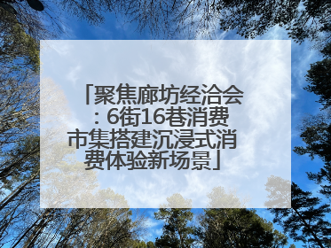 聚焦廊坊经洽会：6街16巷消费市集搭建沉浸式消费体验新场景