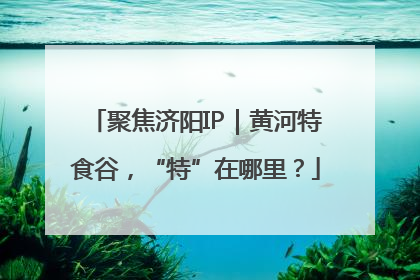 聚焦济阳IP｜黄河特食谷，“特”在哪里？