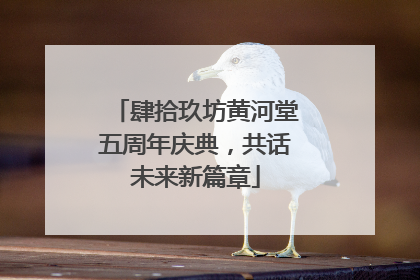 肆拾玖坊黄河堂五周年庆典，共话未来新篇章
