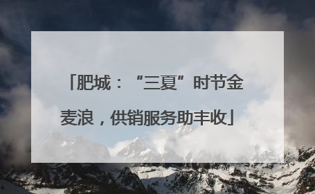 肥城：“三夏”时节金麦浪，供销服务助丰收