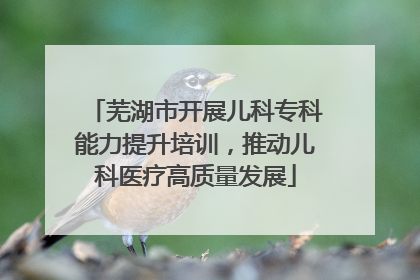 芜湖市开展儿科专科能力提升培训，推动儿科医疗高质量发展