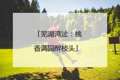 芜湖湾沚：桃香满园醉枝头