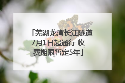 芜湖龙湾长江隧道7月1日起通行 收费期限暂定5年