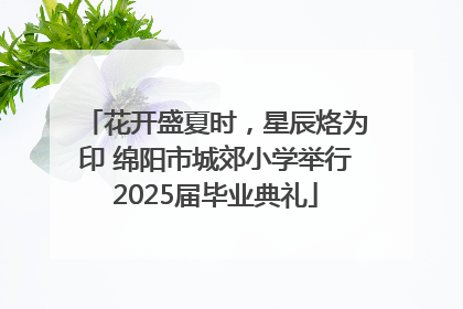 花开盛夏时，星辰烙为印 绵阳市城郊小学举行2025届毕业典礼