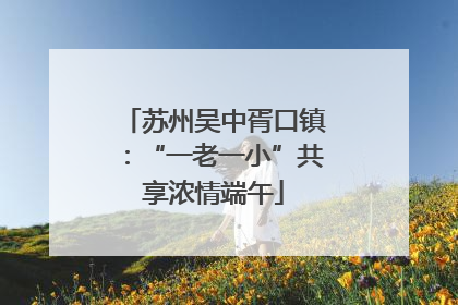 苏州吴中胥口镇：“一老一小”共享浓情端午