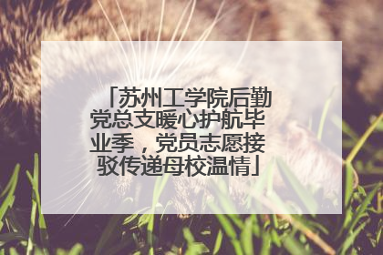 苏州工学院后勤党总支暖心护航毕业季，党员志愿接驳传递母校温情