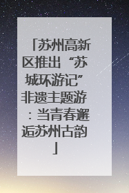 苏州高新区推出“苏城环游记”非遗主题游：当青春邂逅苏州古韵