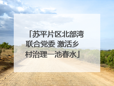 苏平片区北部湾联合党委 激活乡村治理一池春水