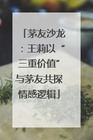 茅友沙龙：王莉以“三重价值”与茅友共探情感逻辑