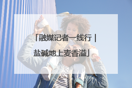 融媒记者一线行｜盐碱地上麦香溢