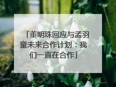 董明珠回应与孟羽童未来合作计划：我们一直在合作