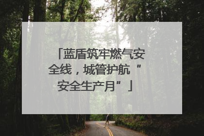 蓝盾筑牢燃气安全线，城管护航“安全生产月”