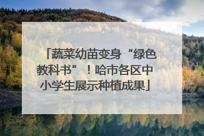 蔬菜幼苗变身“绿色教科书”！哈市各区中小学生展示种植成果