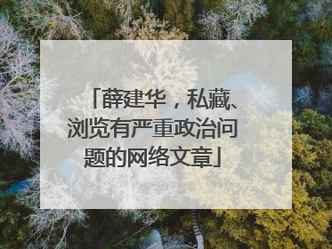 薛建华，私藏、浏览有严重政治问题的网络文章
