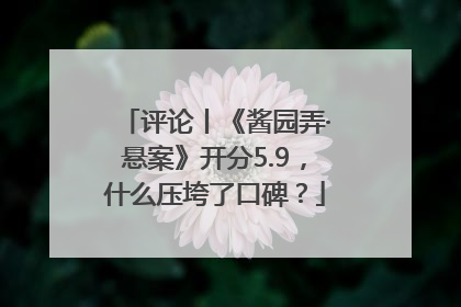 评论丨《酱园弄·悬案》开分5.9，什么压垮了口碑？
