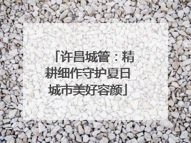 许昌城管：精耕细作守护夏日城市美好容颜
