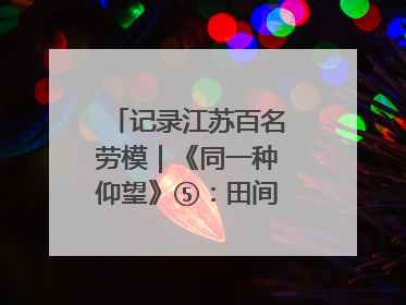 记录江苏百名劳模｜《同一种仰望》⑤：田间车间都是希望