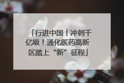 行进中国丨冲刺千亿级！通化医药高新区踏上“新”征程