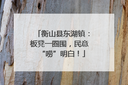 衡山县东湖镇：板凳一圈围，民意“唠”明白！