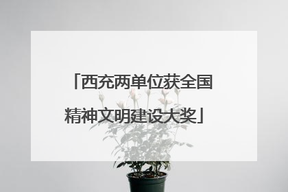 西充两单位获全国精神文明建设大奖