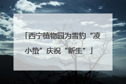 西宁植物园为雪豹“凌小蛰”庆祝“新生”