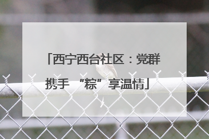 西宁西台社区：党群携手 “粽”享温情