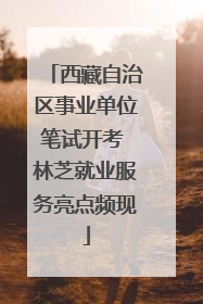 西藏自治区事业单位笔试开考 林芝就业服务亮点频现
