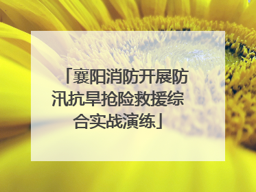 襄阳消防开展防汛抗旱抢险救援综合实战演练