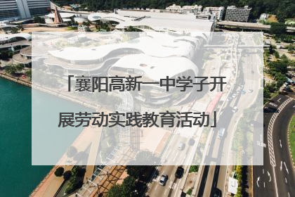 襄阳高新一中学子开展劳动实践教育活动