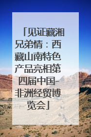 见证藏湘兄弟情：西藏山南特色产品亮相第四届中国-非洲经贸博览会