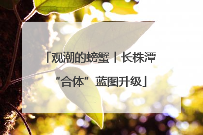 观潮的螃蟹丨长株潭“合体”蓝图升级