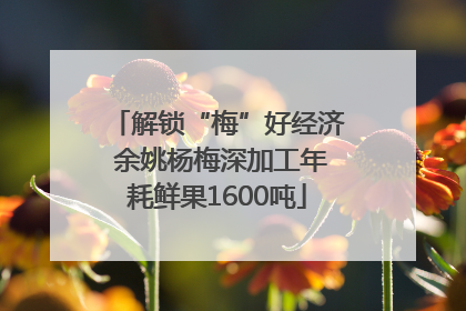 解锁“梅”好经济 余姚杨梅深加工年耗鲜果1600吨