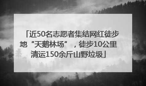 近50名志愿者集结网红徒步地“天鹅林场”，徒步10公里清运150余斤山野垃圾
