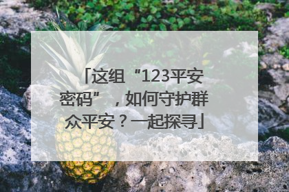 这组“123平安密码”，如何守护群众平安？一起探寻