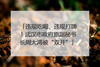 违规吃喝、违规打牌！武汉市政府原副秘书长周大鸿被“双开”