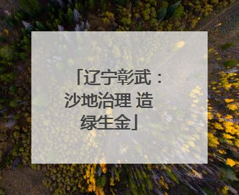 辽宁彰武：沙地治理 造绿生金