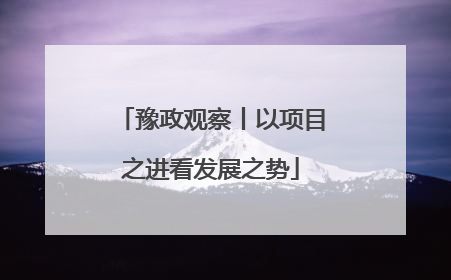 豫政观察丨以项目之进看发展之势