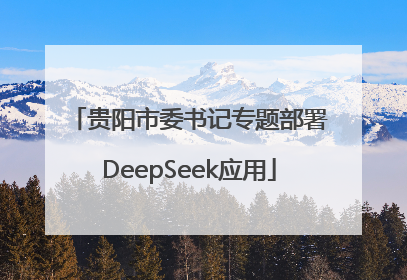 贵阳市委书记专题部署DeepSeek应用