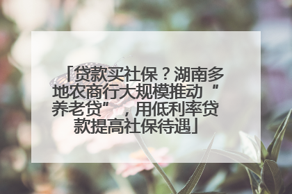 贷款买社保？湖南多地农商行大规模推动“养老贷”，用低利率贷款提高社保待遇