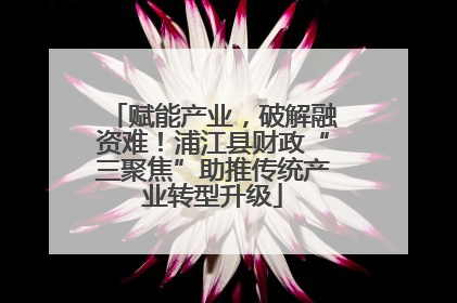 赋能产业，破解融资难！浦江县财政“三聚焦”助推传统产业转型升级